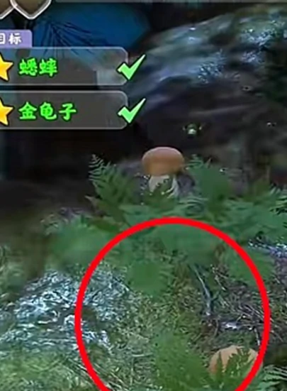 夺笋高手怎么获得七彩蟋蟀 夺笋高手七彩蟋蟀位置分享