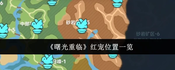 曙光重临红宠在哪里 曙光重临红宠位置一览