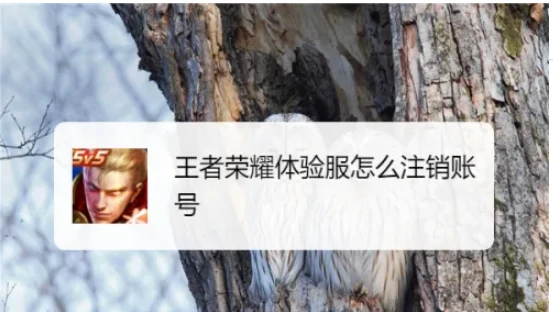 王者荣耀体验服怎么注销  王者荣耀体验服怎么注销账号,