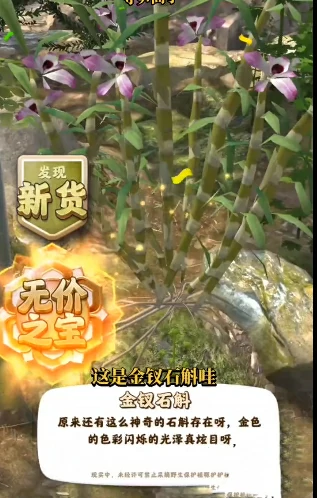 夺笋高手金钗石斛怎么触发 夺笋高手金钗石斛获得方法,