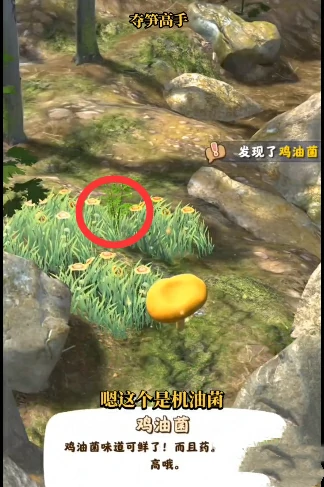 夺笋高手金钗石斛怎么触发 夺笋高手金钗石斛获得方法,