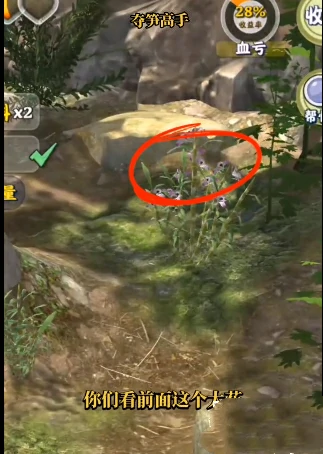 夺笋高手金钗石斛怎么触发 夺笋高手金钗石斛获得方法,