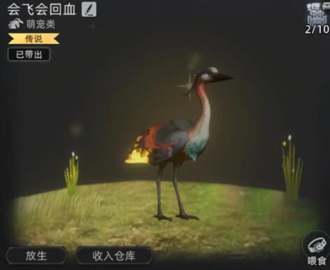 荒原曙光职业流派介绍,荒原曙光职业怎么玩