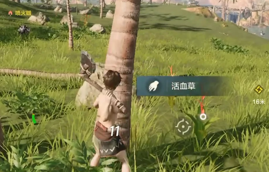 荒野起源什么时候上线的,荒野起源什么时候开服