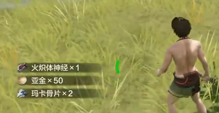 荒野起源啥时候公测,荒野起源什么时候开服