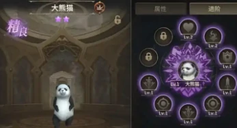 奇迹世界起源战士带什么宠物好,奇迹世界起源战士宠物推荐