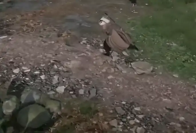 下一站江湖2杭州在哪,下一站江湖2手游杭州介绍