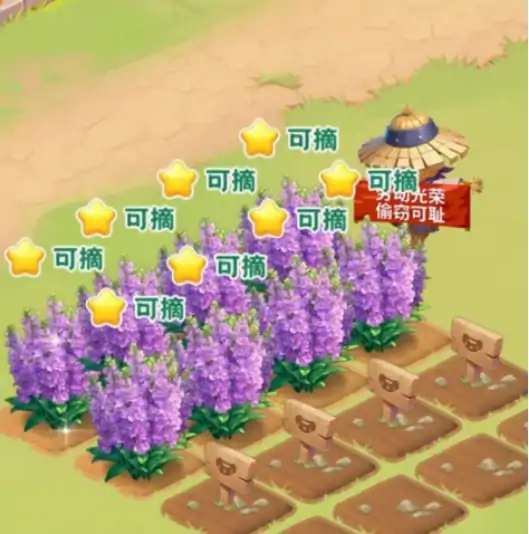 我的花园世界送花怎么送 我的花园世界送花攻略解析