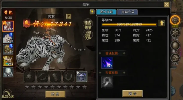 寻梦丝路宠物怎么获取,寻梦丝路宠物攻略