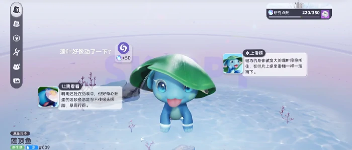 伊莫前期宠物怎么选,伊莫前期宠物推荐
