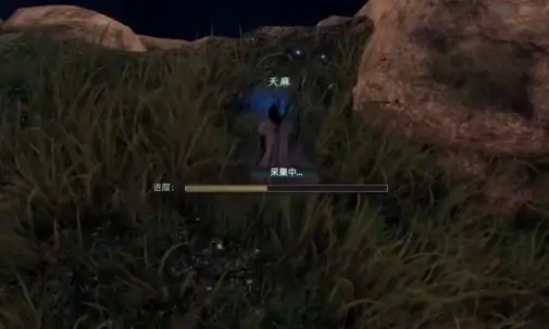 下一站江湖2天麻在哪个山洞,下一站江湖2手游天麻位置