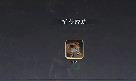 荒原曙光猪坐骑怎么抓,荒原曙光猪坐骑抓捕攻略