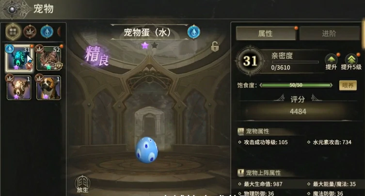 奇迹世界起源宠物有哪些,奇迹世界起源宠物如何获取