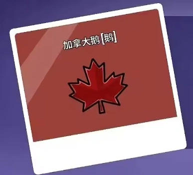 鹅鸭杀职业介绍,鹅鸭杀职业有哪些