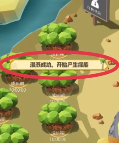 碳碳岛浇水怎么操作,碳碳岛如何浇水