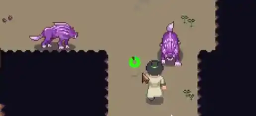 江城创业记茴参在哪采,江城创业记手机版茴参采摘地址