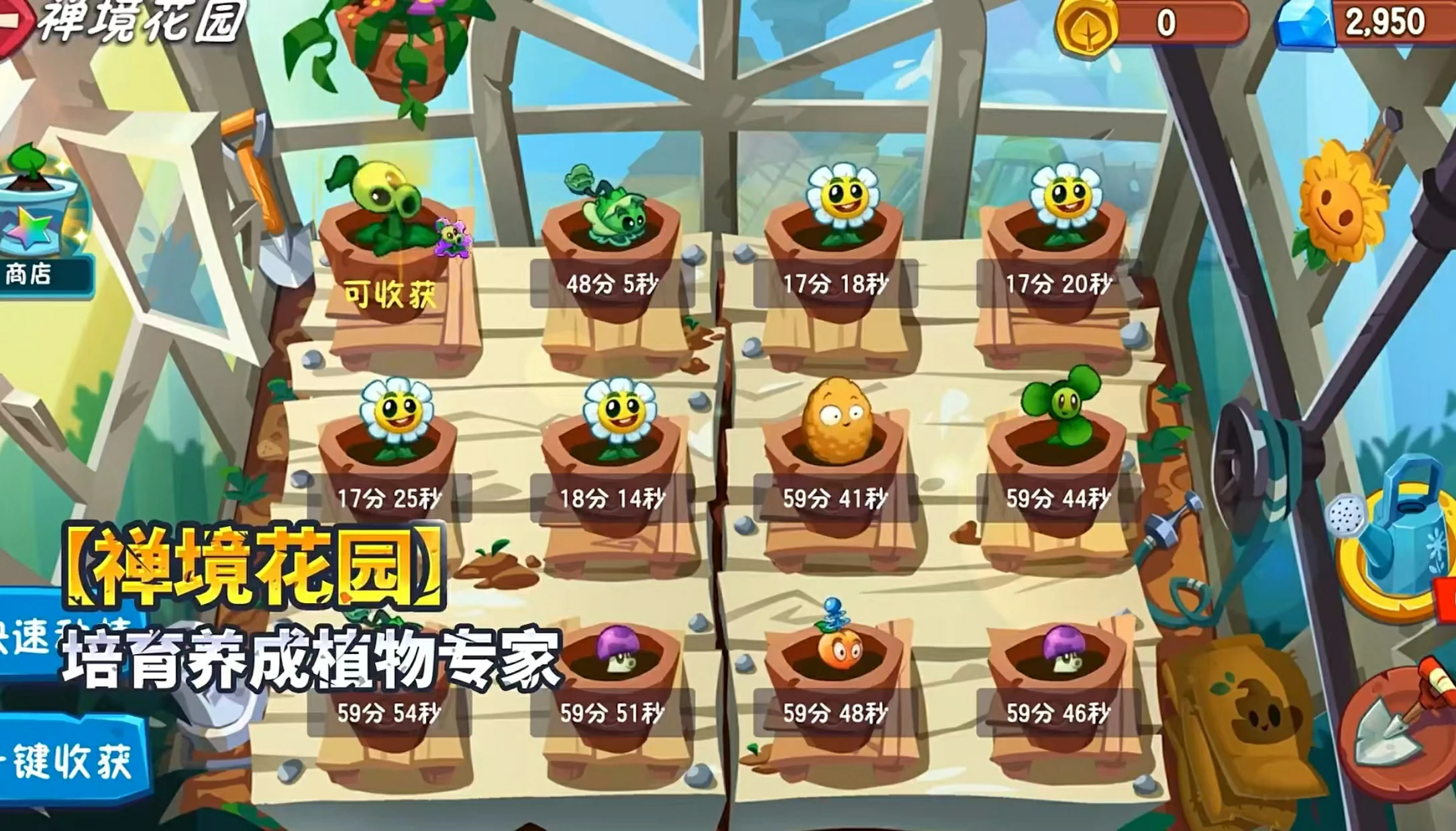 植物大战僵尸3和2哪个好玩,植物大战僵尸3和2玩法对比分析
