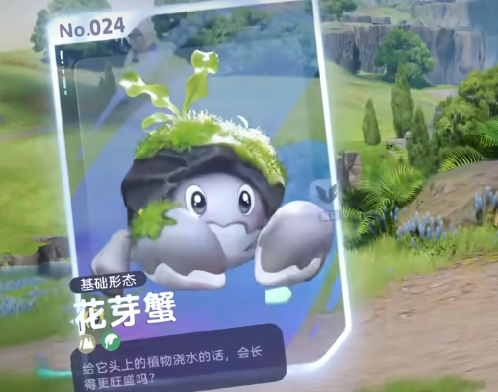 伊莫公测时间介绍,伊莫手游公测时间确定了吗