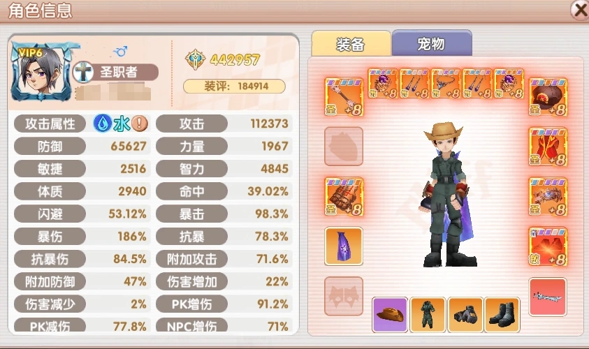 飞飞重逢辅助圣职者怎么玩,飞飞重逢辅助圣职者玩法分享