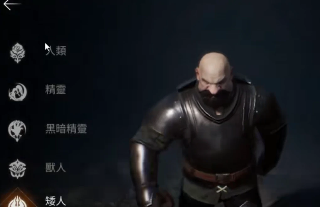 天堂2盟约种族选择指南,天堂2盟约种族怎么选择