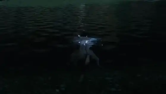 下一站江湖2救六婶有什么用,下一站江湖2手游救不救六婶