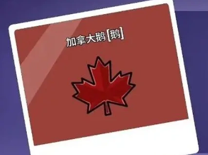 鹅鸭杀角色技能介绍,鹅鸭杀手游角色技能有哪些