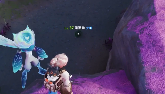 伊莫星落林介绍,伊莫星落林攻略