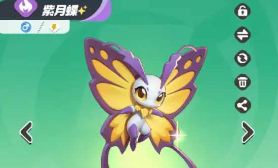 曙光重临紫月蝶怎么样,曙光重临紫月蝶好玩吗