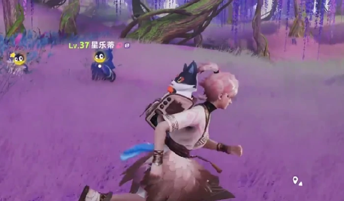 伊莫星落林介绍,伊莫星落林攻略