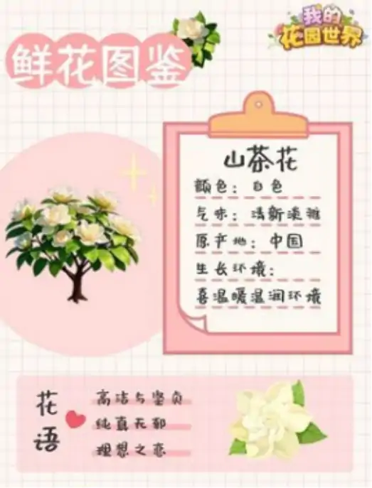 我的花园世界哪个公司开发的 我的花园世界公司介绍