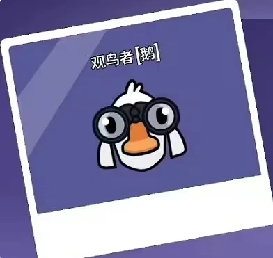 鹅鸭杀职业介绍,鹅鸭杀职业有哪些