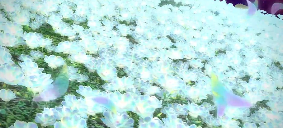 最终幻想14水晶世界服务器怎么选,最终幻想14水晶世界服务器介绍