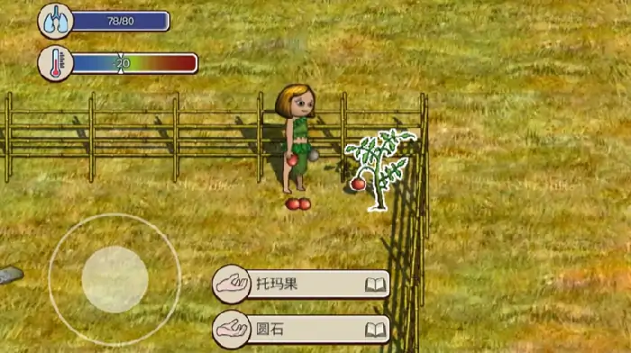 村落人生玩法,村落人生怎么玩