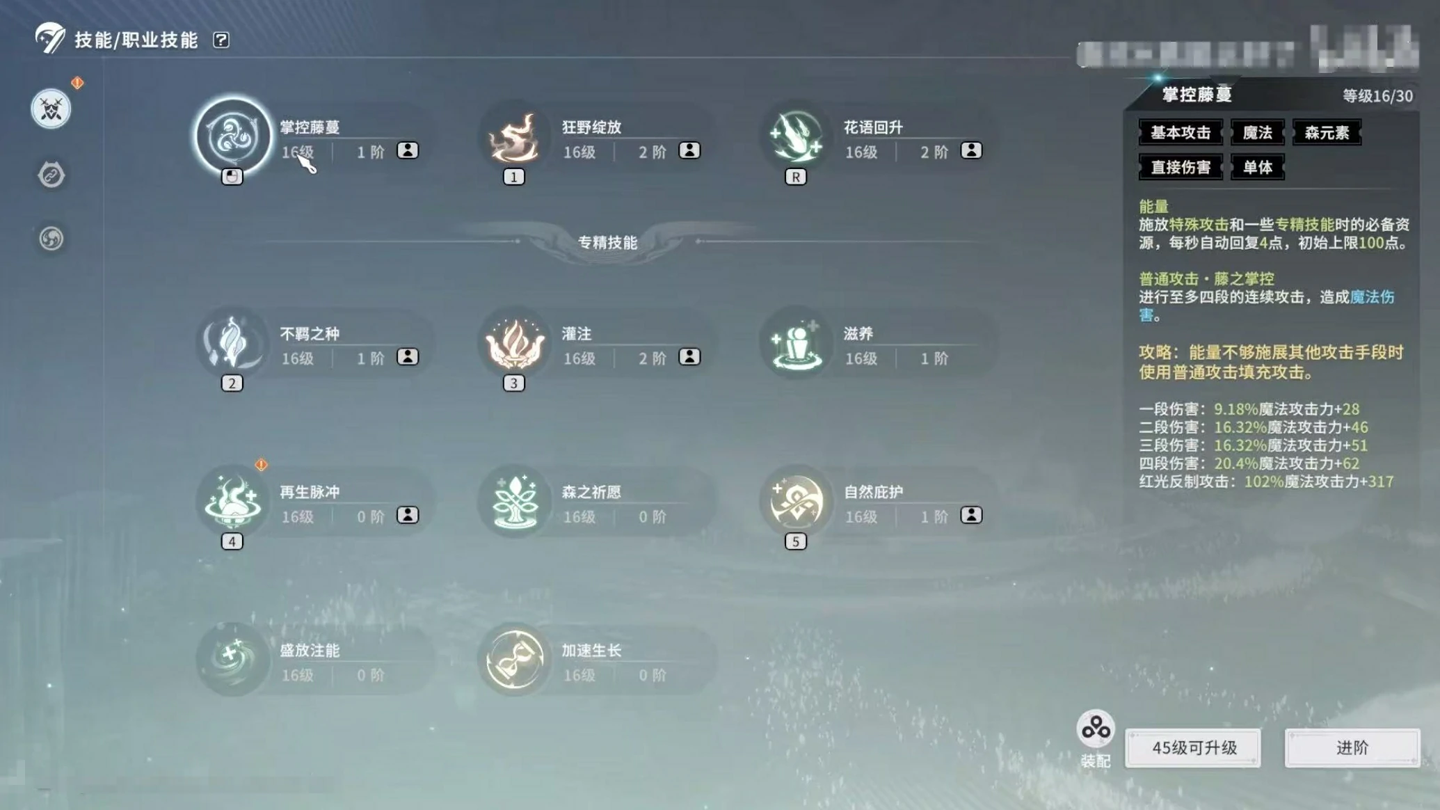 星痕共鸣森语者新手攻略,星痕共鸣森语者介绍