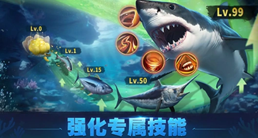 鳞光海域公测时间,鳞光海域什么时候上线
