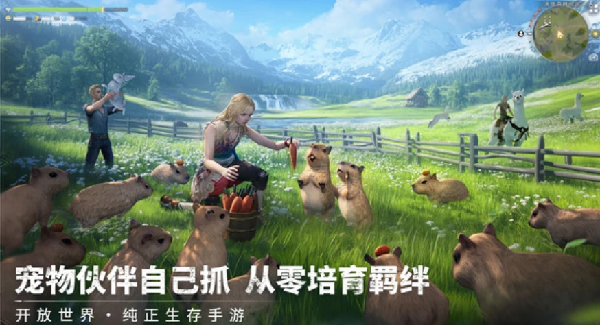 荒原曙光沃维森林藏宝图怎么获取,荒原曙光沃维森林藏宝图获取方式介绍