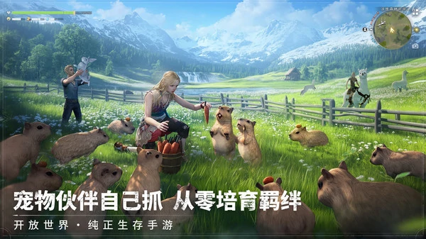 荒原曙光安装包分享,荒原曙光在哪下