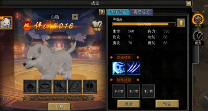 寻梦丝路宠物怎么获取,寻梦丝路宠物攻略