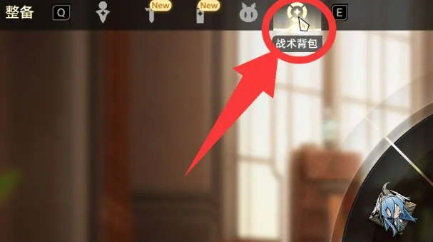 二重螺旋协同伙伴怎么设置,二重螺旋协同伙伴玩法攻略