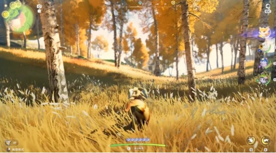 伊莫全息训练有哪些方法,伊莫全息训练方法解析