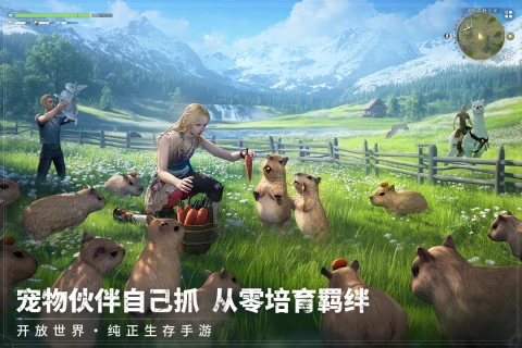 荒原曙光测试入口分享,荒原曙光在哪下载