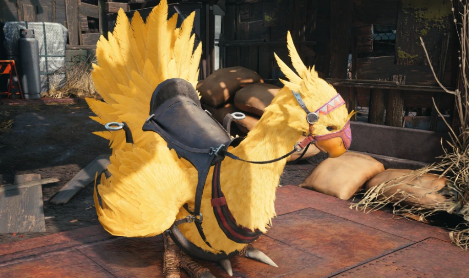 最终幻想14水晶世界陆行鸟怎么获得,FF14手游陆行鸟获取方式