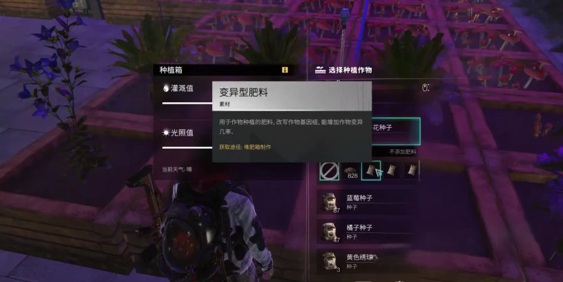 七日世界变异小麦位置在哪,七日世界变异小麦怎么获取