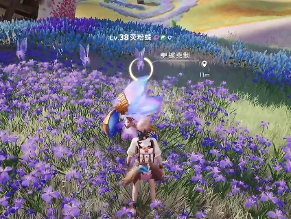 伊莫鸢尾花海宠物有哪些,伊莫手游鸢尾花海宠物介绍