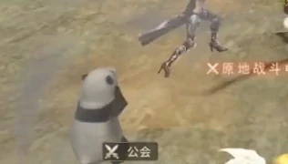 奇迹世界起源战士带什么宠物好,奇迹世界起源战士宠物推荐