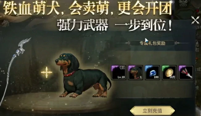 奇迹世界起源宠物有哪些,奇迹世界起源宠物如何获取