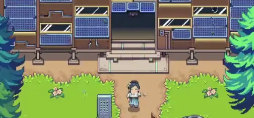 江城创业记茴参在哪采,江城创业记手机版茴参采摘地址