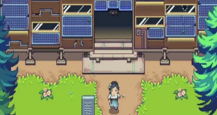 江城创业记茴参在哪采,江城创业记茴参获取全攻略