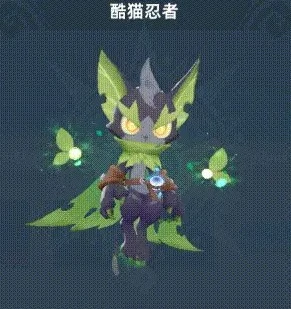 猎风传说开荒指南攻略,猎风传说新手玩法