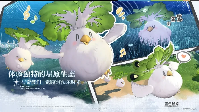 蓝色星原旅谣公司介绍,蓝色星原旅谣开发公司是哪个